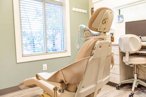 Photo of a Dental Chair