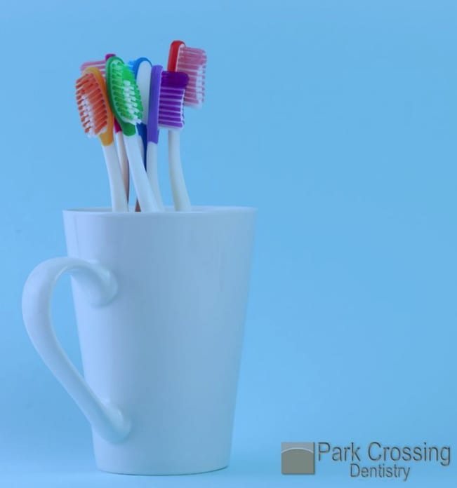 Toothbrush Bristle
